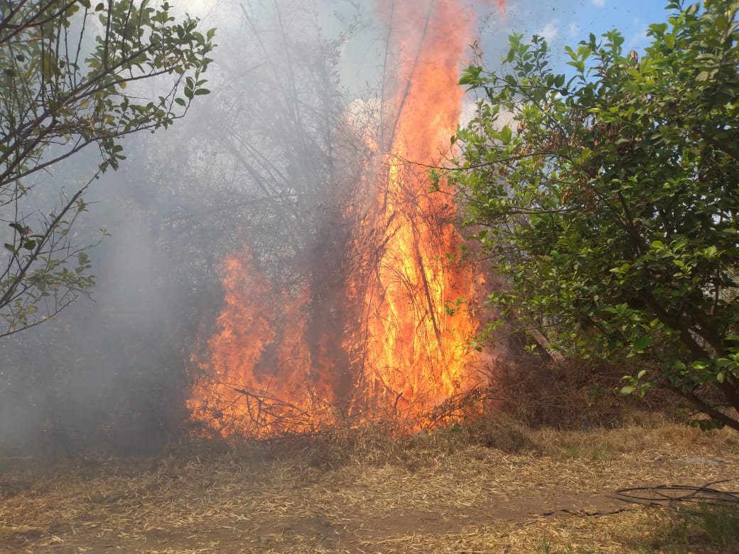 Ecuela Agrotécnica de Libertador